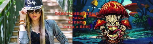 a pvp Абаза