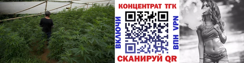 где купить наркоту  Фокино  ТГК жижа 