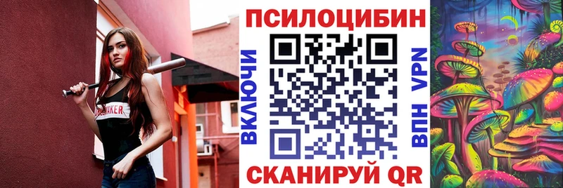 Галлюциногенные грибы Psilocybine cubensis  где купить   Фокино 